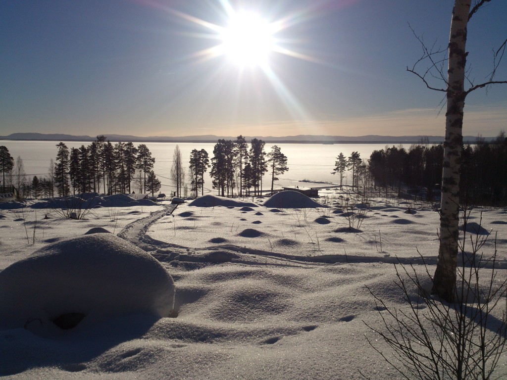 Vintervy från Dellendröm